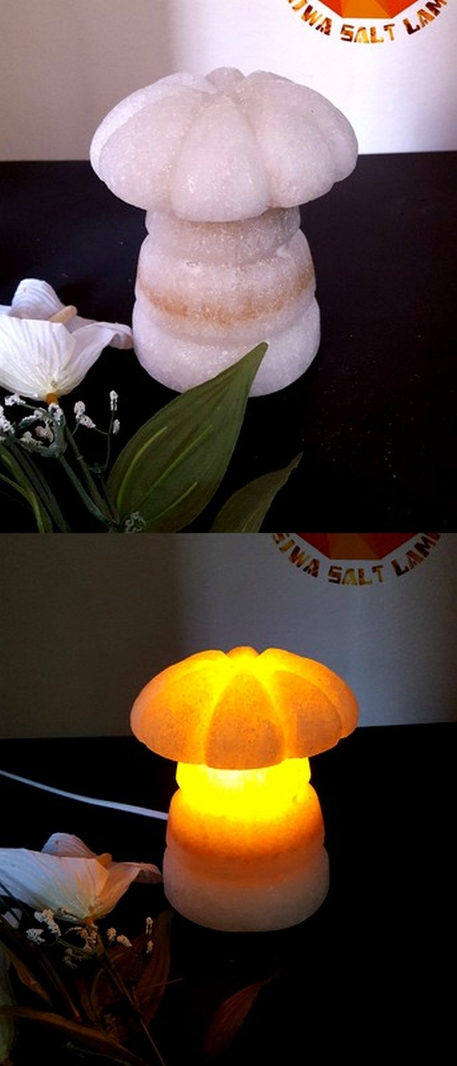 Mushroom Style Salt Lamp 
