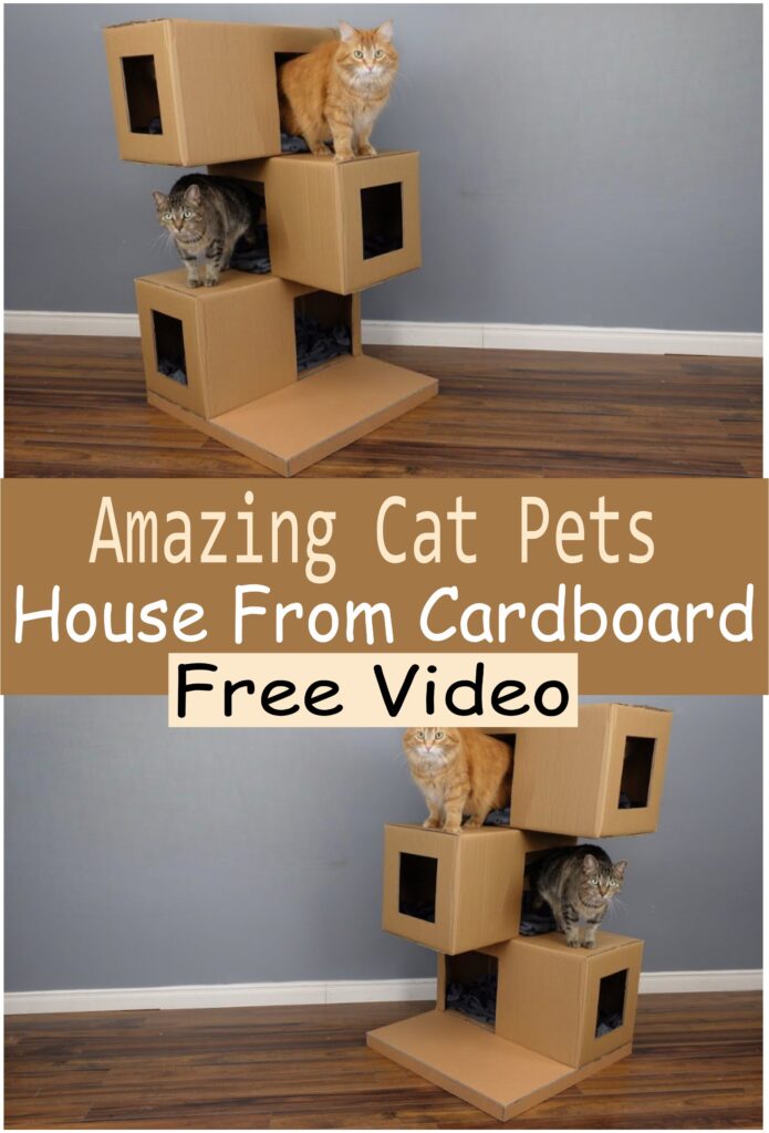 Amazing Cat Pets House From Cardboard