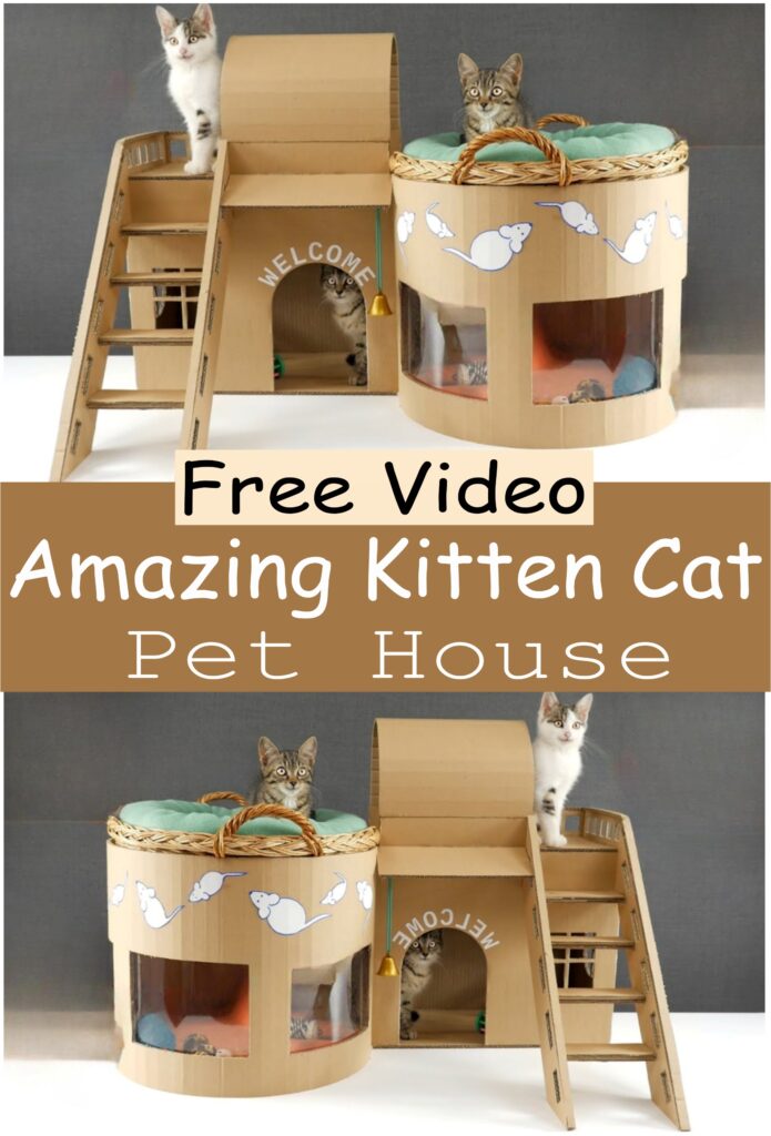 Amazing Kitten Cat Pet House