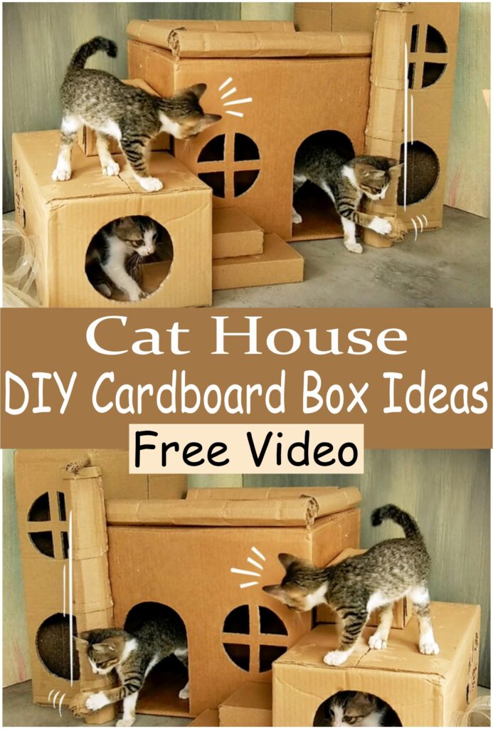 Cat House DIY Cardboard Box Ideas