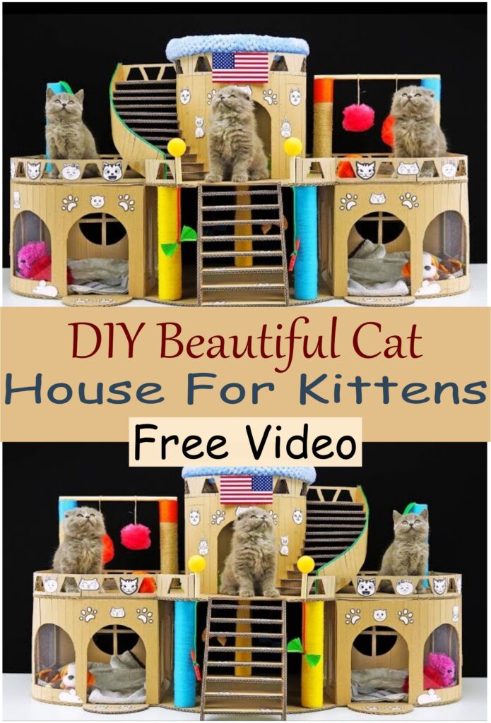 DIY Beautiful Cat House For Kittens