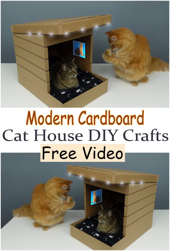 Modern Cardboard Cat House 😻 - DIY Crafts
