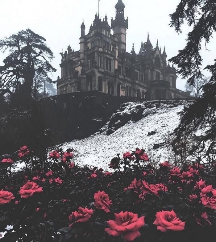 Spooky Horror Decor Ideas for Halloween