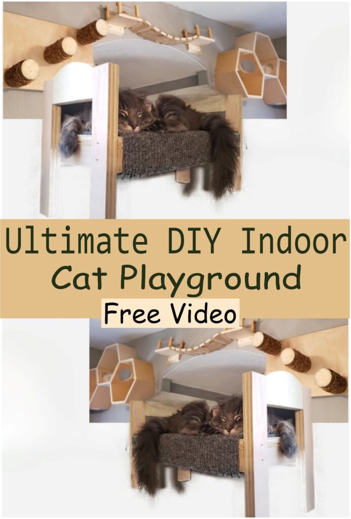 Ultimate DIY Indoor Cat Playground